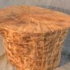 Plein Tree Solid Table Log.JPG
